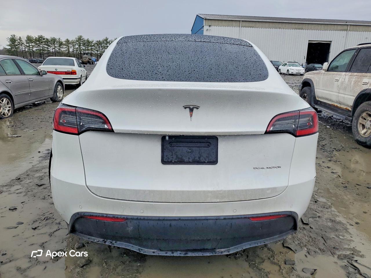 Tesla Model Y 2021