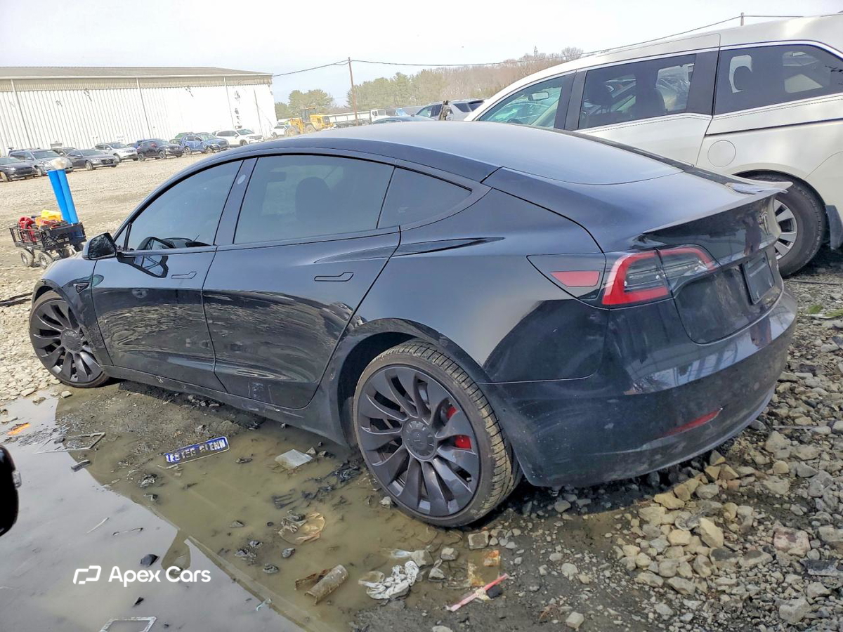 Tesla Model 3 2019