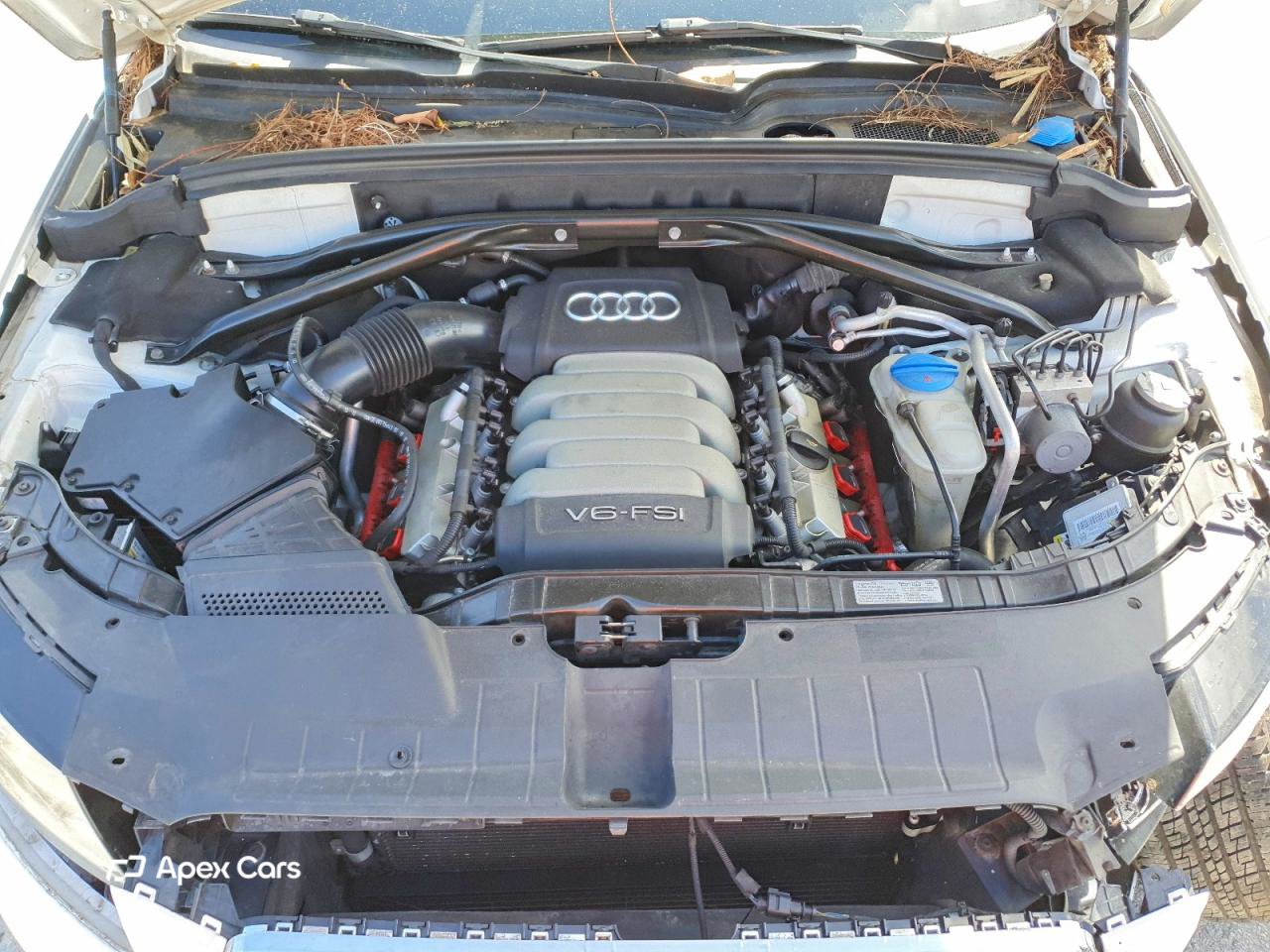 Audi Q5 2010