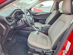 Ford Escape 2021