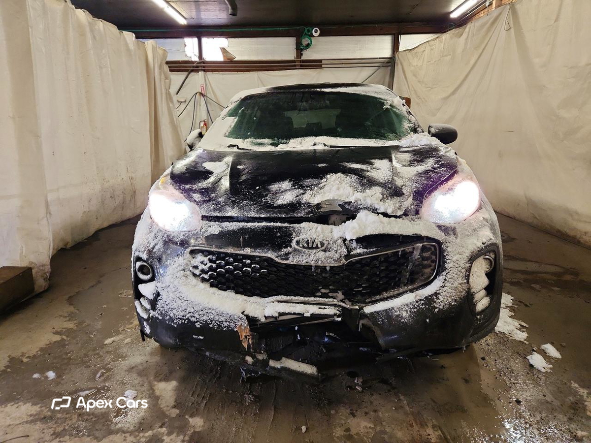 Kia Sportage 2019