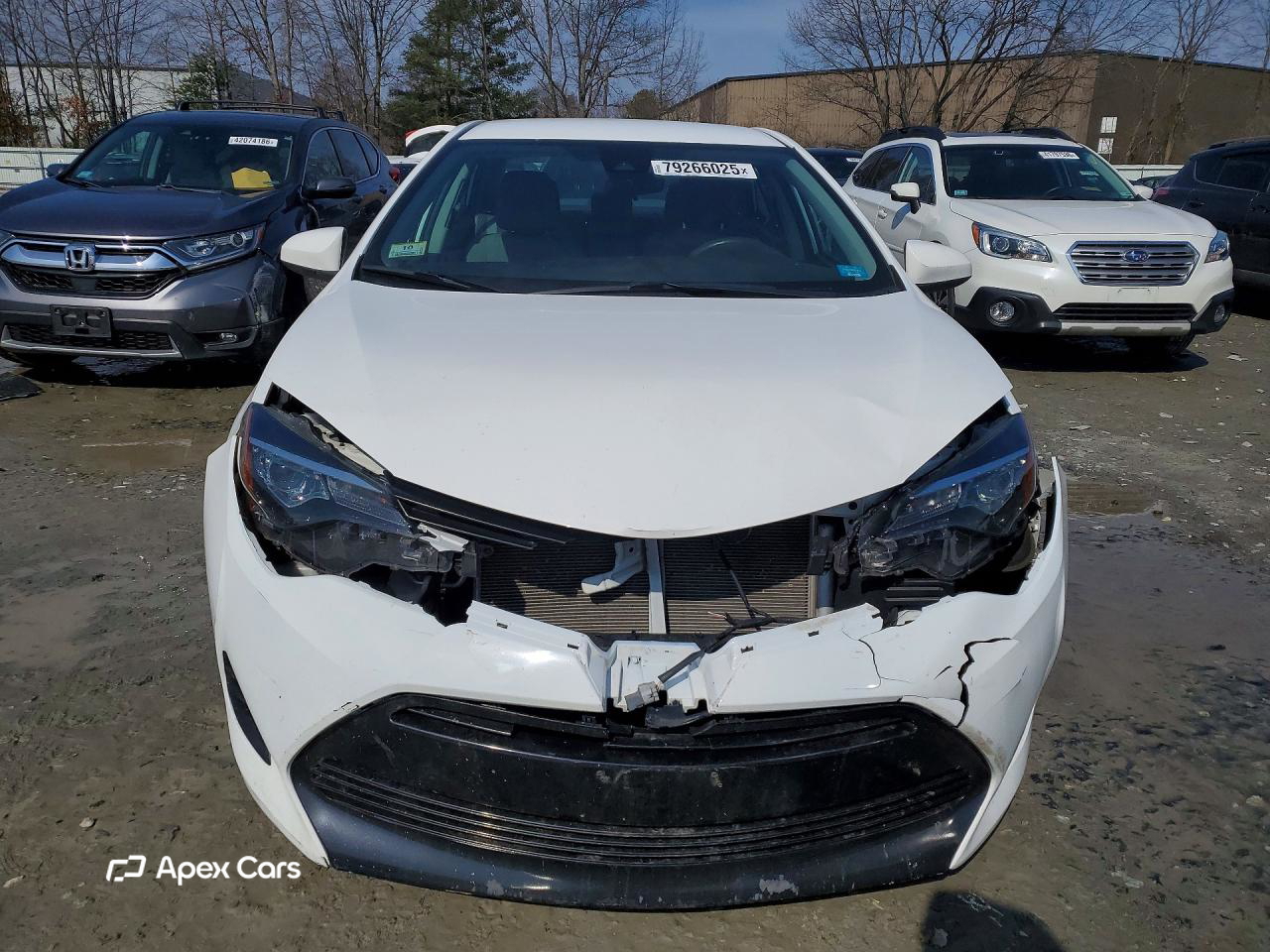 Toyota Corolla 2019