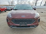 Ford Escape 2021