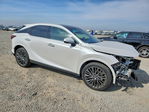 Lexus  2024