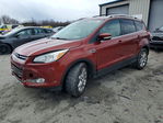 Ford Escape 2014