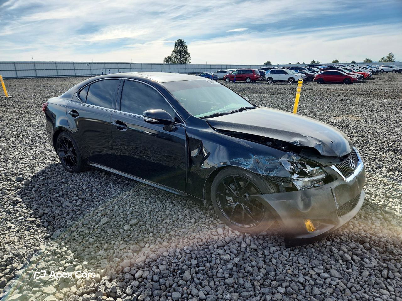 Lexus IS 2010