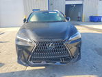 Lexus NX 2024