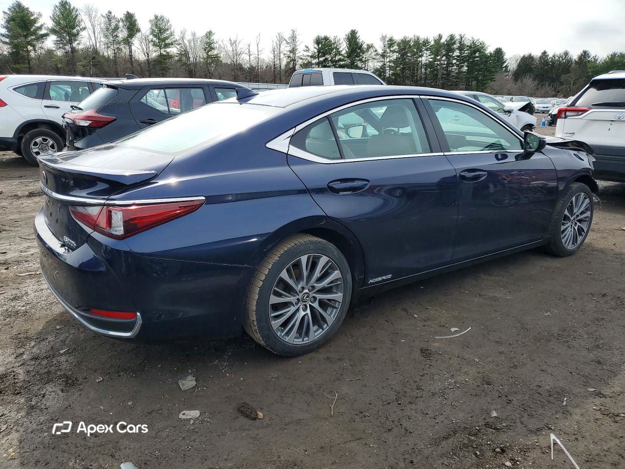 Lexus ES 2021