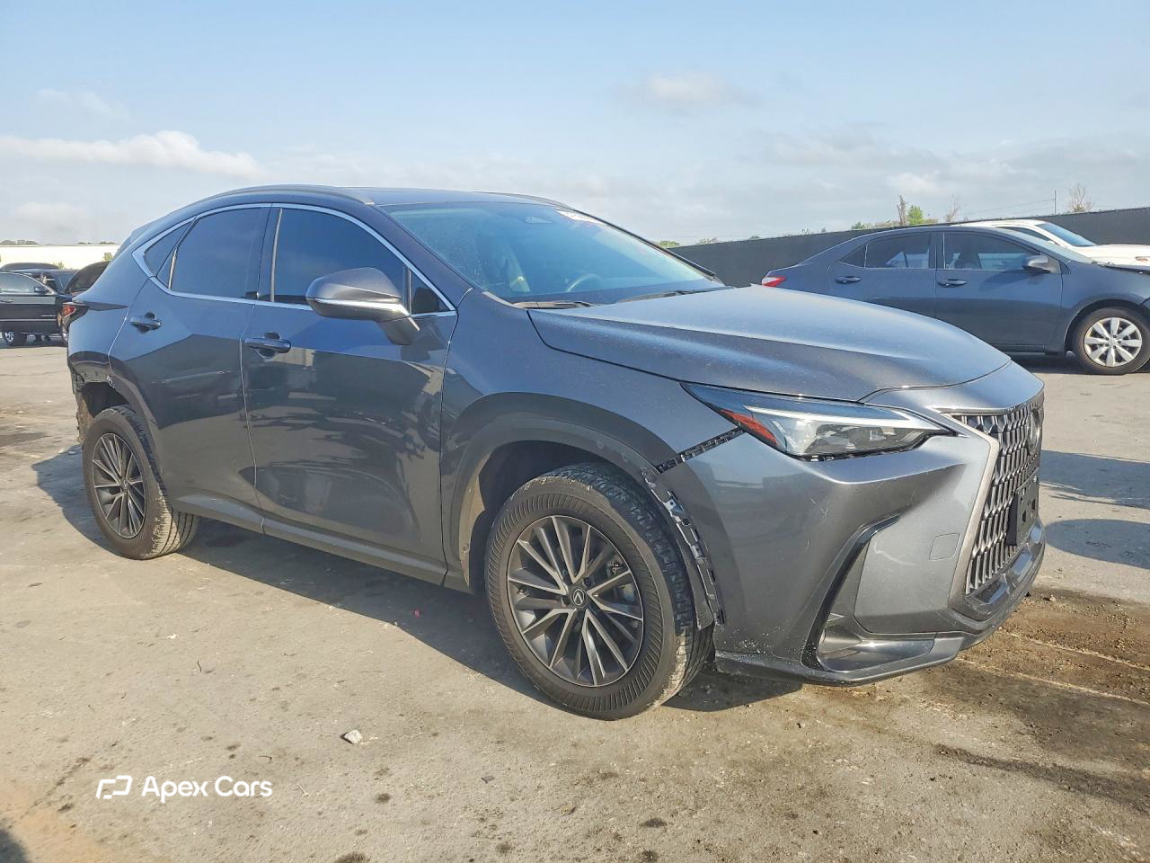 Lexus NX 2024