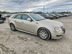 Cadillac CTS 2014