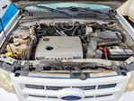 Ford Escape 2011