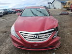Hyundai Sonata 2013