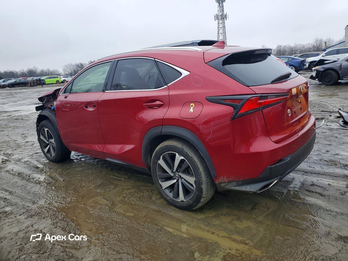Lexus NX 2019