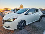 Nissan Leaf 2020