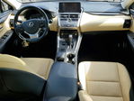 Lexus NX 2021