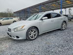Nissan Maxima 2013