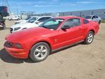 Ford Mustang 2007