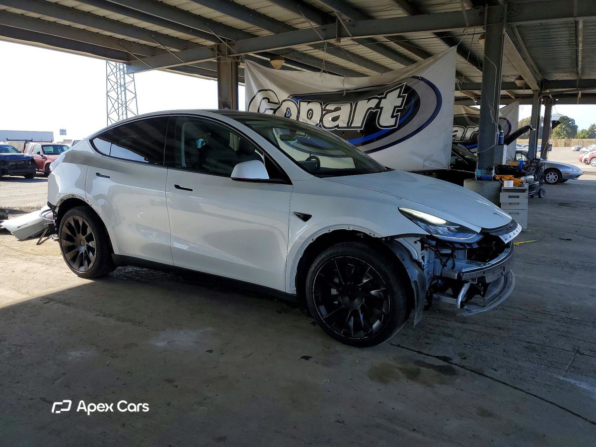 Tesla Model Y 2020