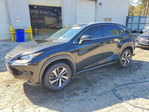 Lexus NX 2019