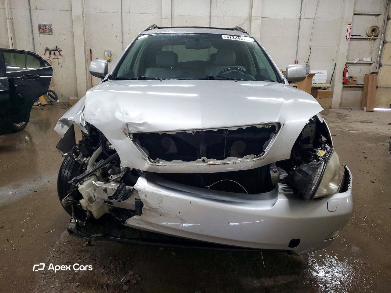 Lexus RX 2009