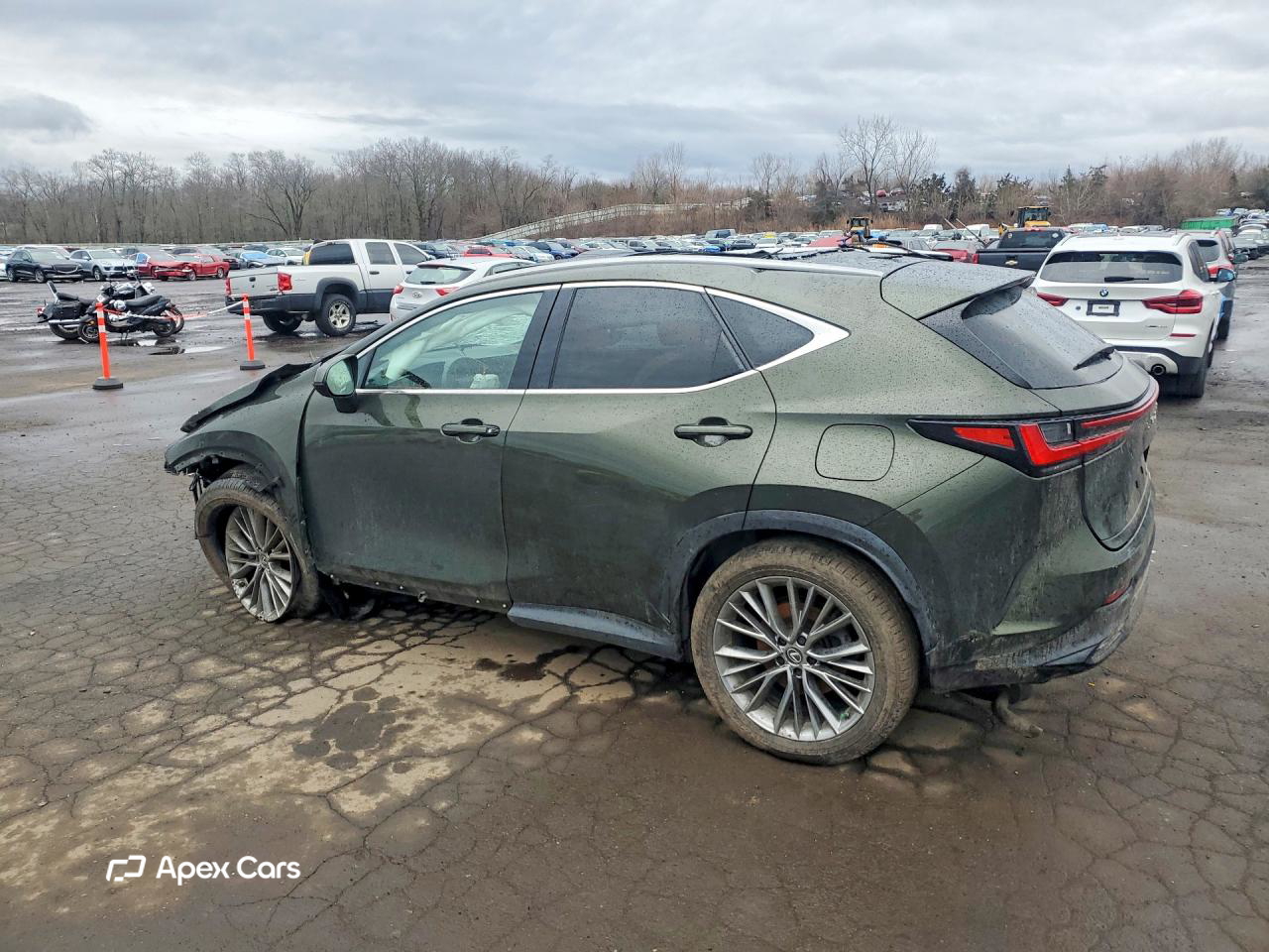 Lexus NX 2022