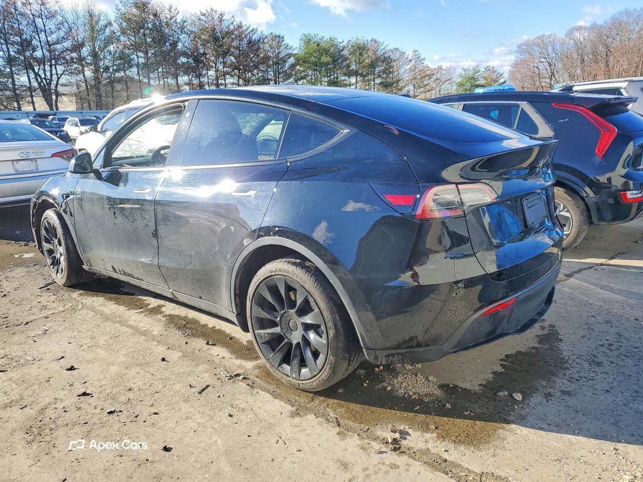 Tesla Model Y 2022
