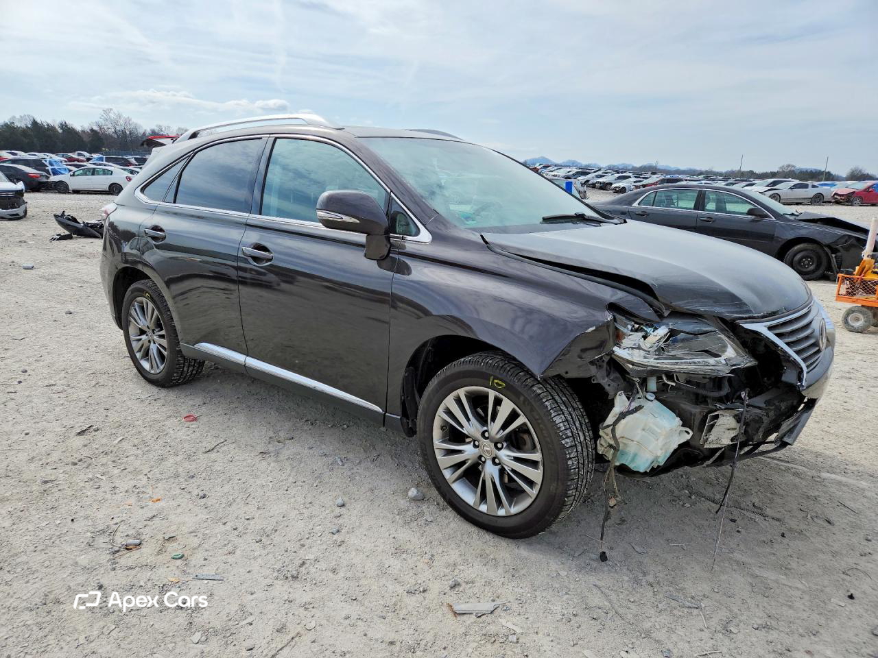 Lexus RX 2013