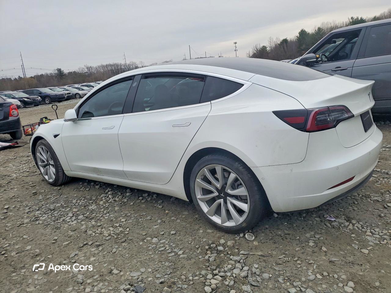 Tesla Model 3 2019