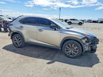 Lexus NX 2021