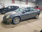 Dodge Neon 2004