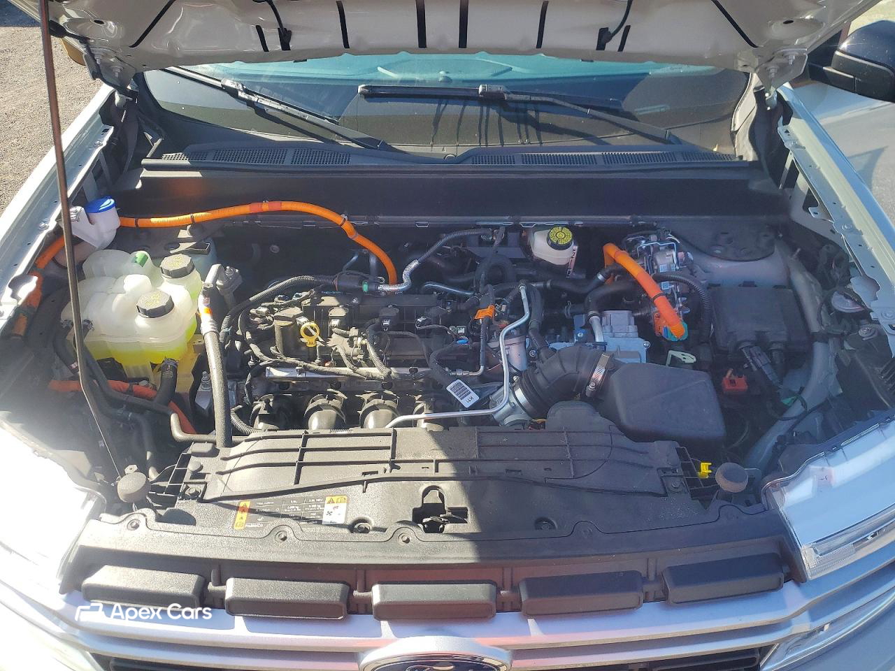 Ford Maverick 2024