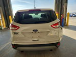 Ford Escape 2016