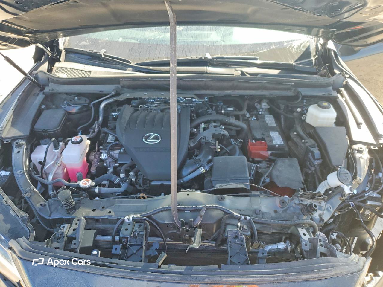 Lexus RX 2024