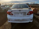 Toyota Corolla 2009