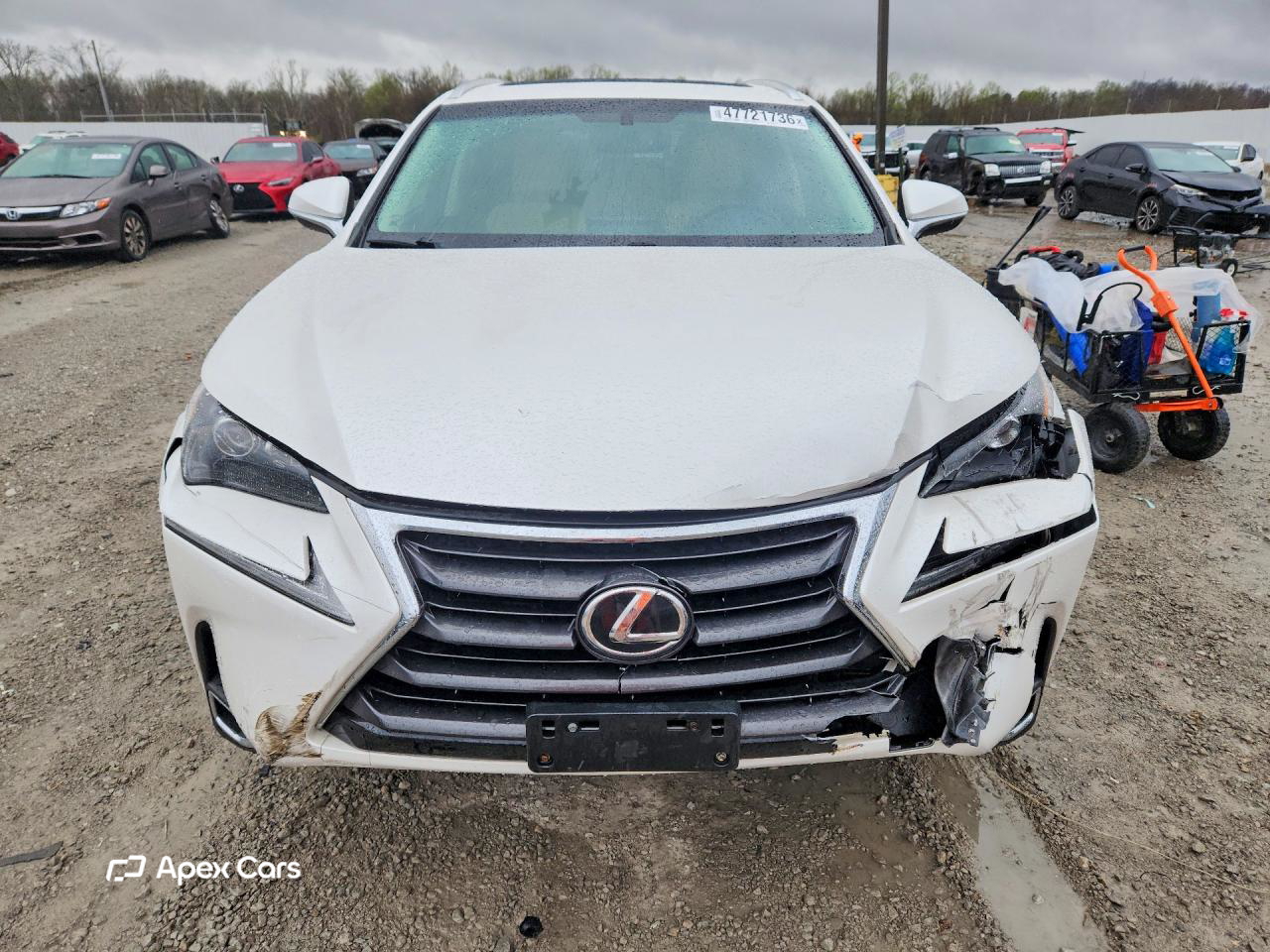 Lexus NX 2017