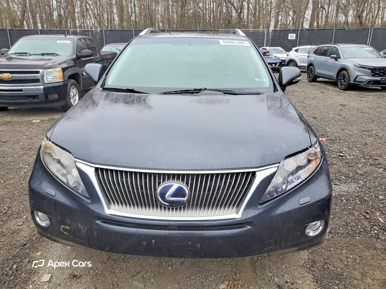 Lexus RX 2010