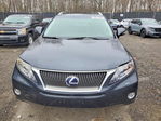 Lexus RX 2010