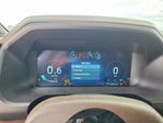 Ford Expedition 2024