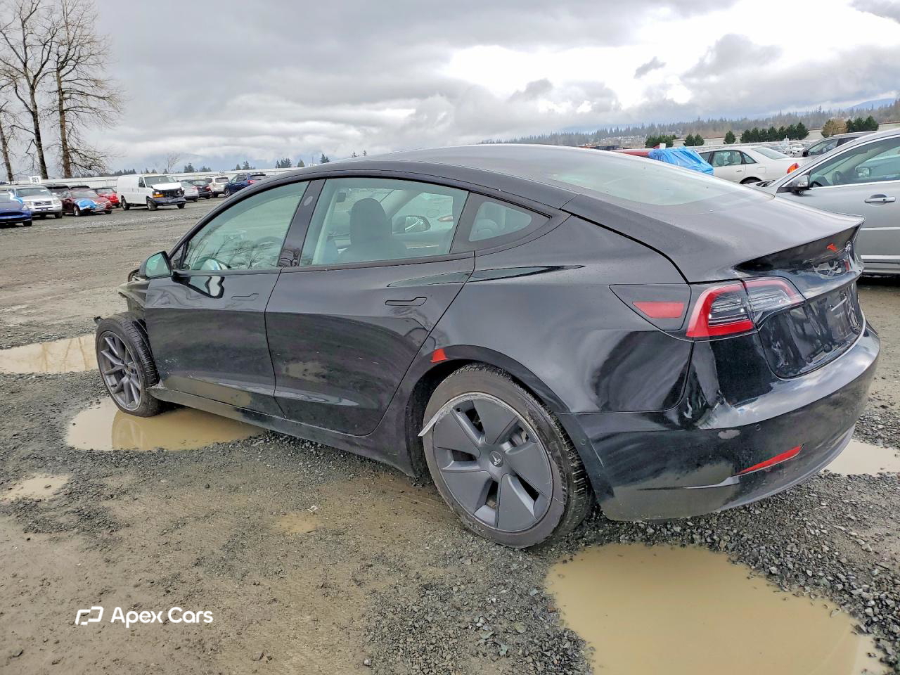 Tesla Model 3 2022
