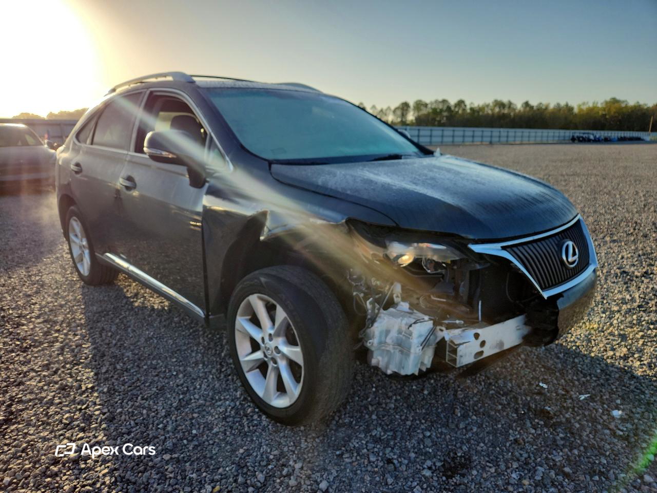 Lexus RX 2010