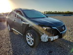 Lexus RX 2010