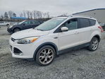 Ford Escape 2015
