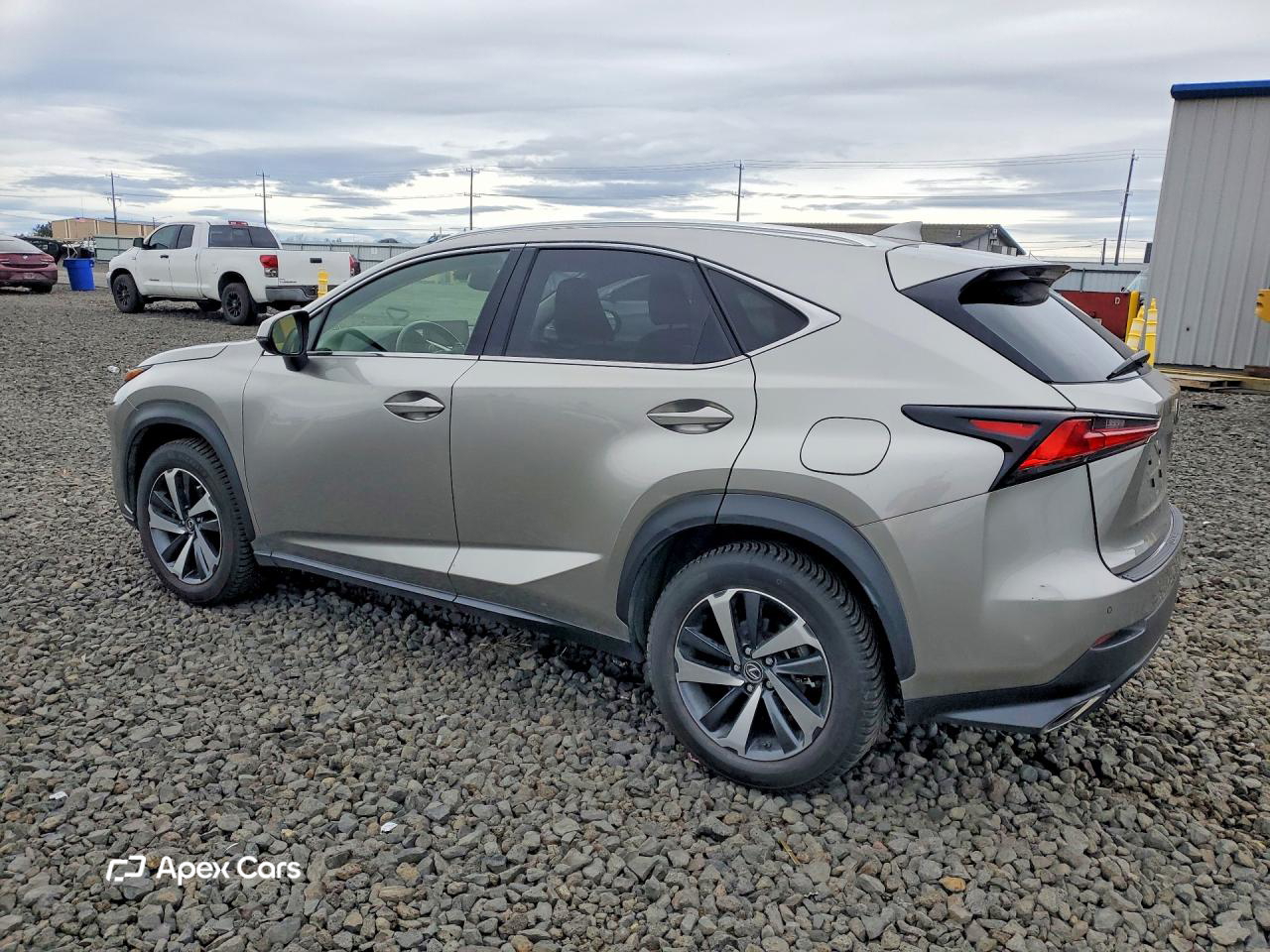 Lexus NX 2019