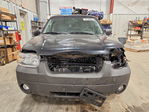 Ford Escape 2007