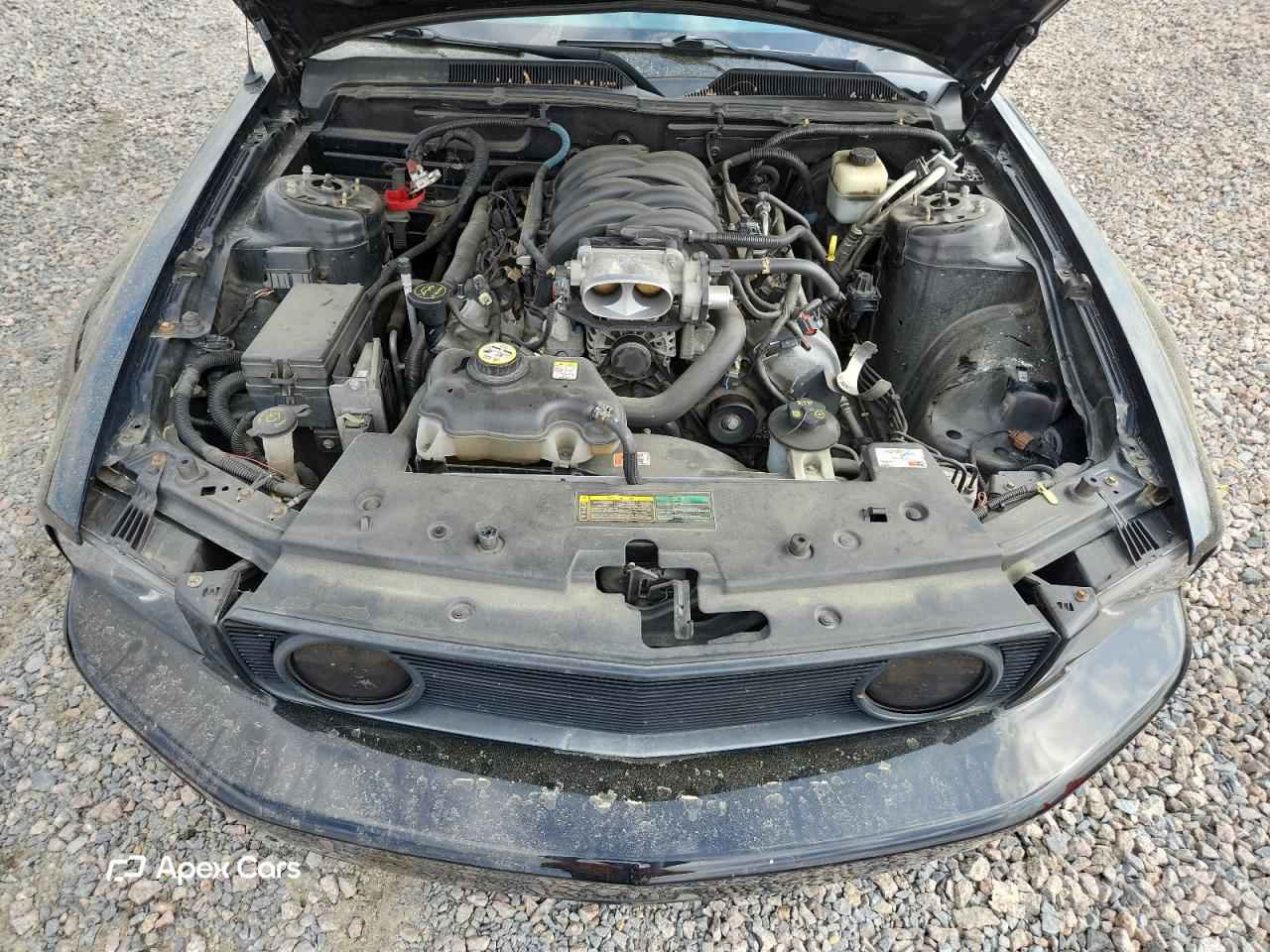 Ford Mustang 2008