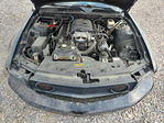 Ford Mustang 2008