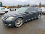 Lexus LS 2010
