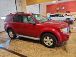 Ford Escape 2010