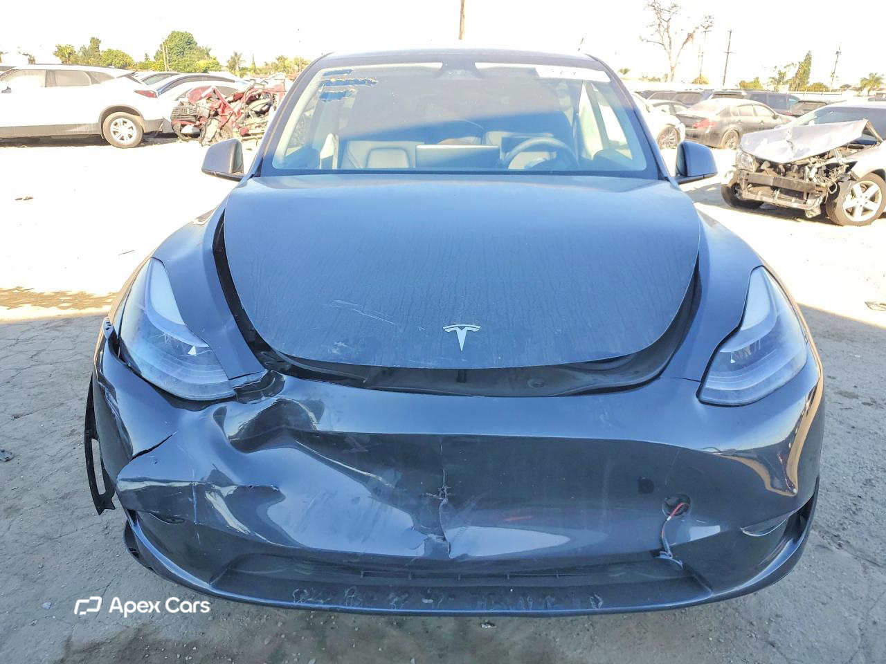 Tesla Model Y 2024