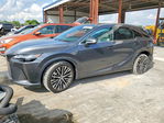 Lexus RX 2025